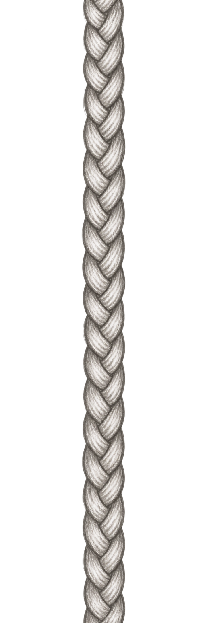 A braid passing through the quote down to the next paragraph. The braid is drawn in a graphite style.